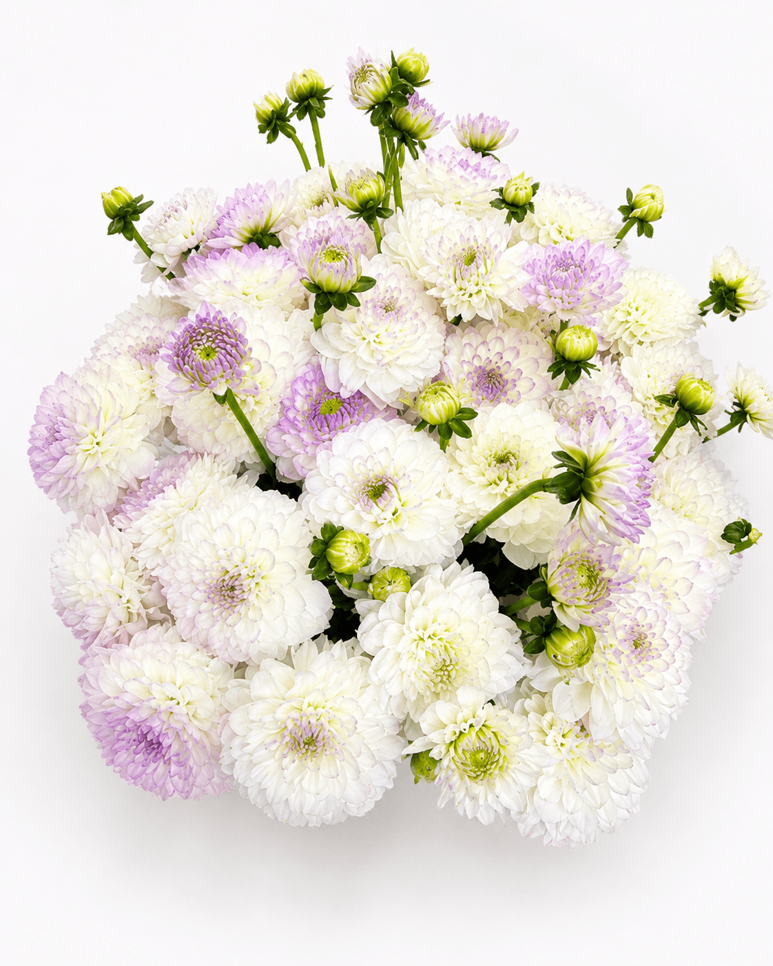 Lavanda tongi — ASA Flowers Boutique tomonidan qo‘lda tayyorlangan guldasta